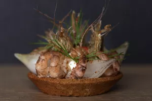 Tartelette grijze garnaal met gemarineerde uitjes