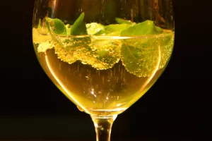 Cocktail van Belgische Elixir, waterkers en schuimwijn