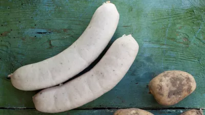 Antwerpse witte pensen