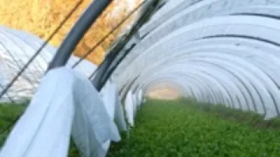  Traditionele waterkersteelt opnieuw erkend