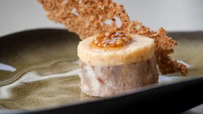 Hapje van Vlaamse grijze boerenkop, gelei van mosterd uit het Leuvense en siroop van mosterdzaad