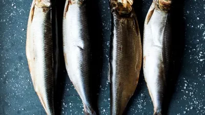 Zes traditionele Vlaamse streekproducten krijgen Vlaamse erkenning