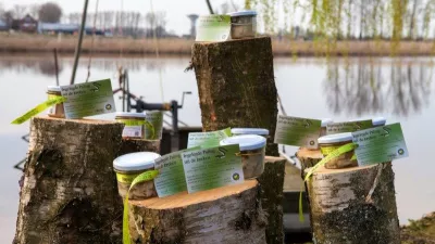 Ingelegde paling uit de Kreken