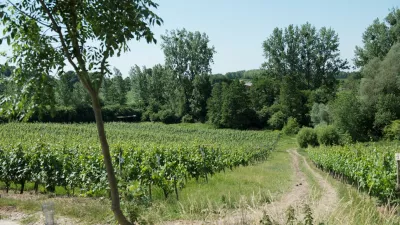 Zuid-Limburgse schuimwijn