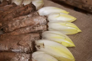 grondwitloof Streekproduct.be