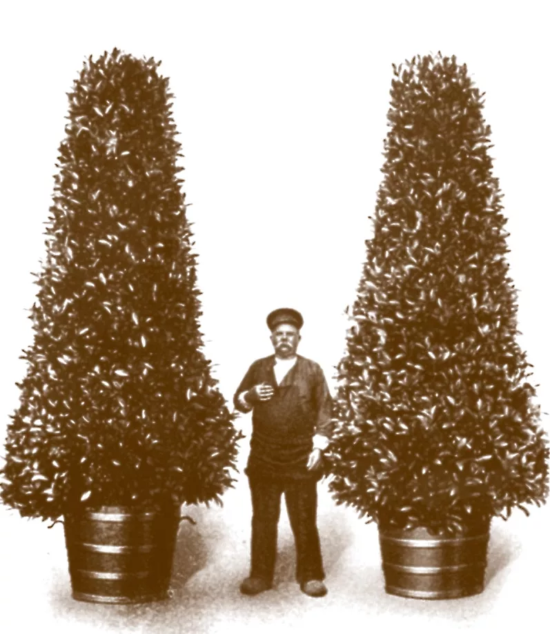 Laurier Streekproduct.be