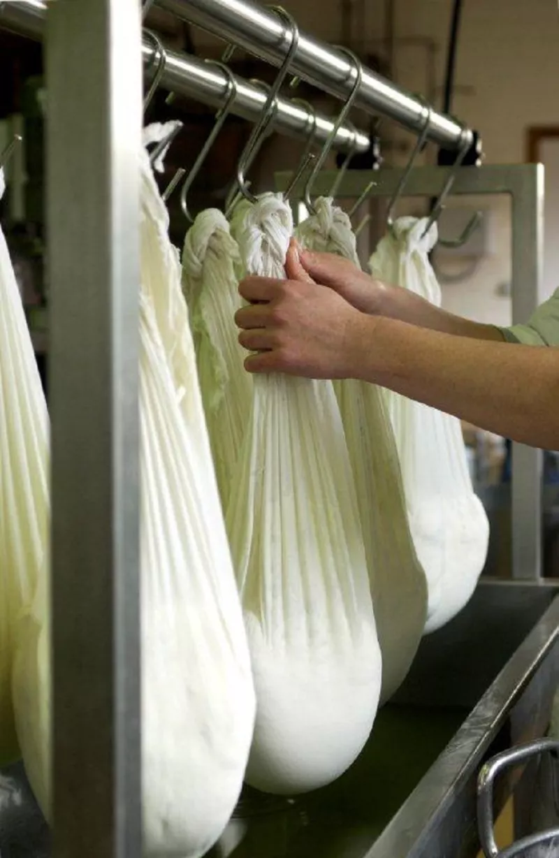 Geitenboerderij Polle - Productie Streekproduct.be