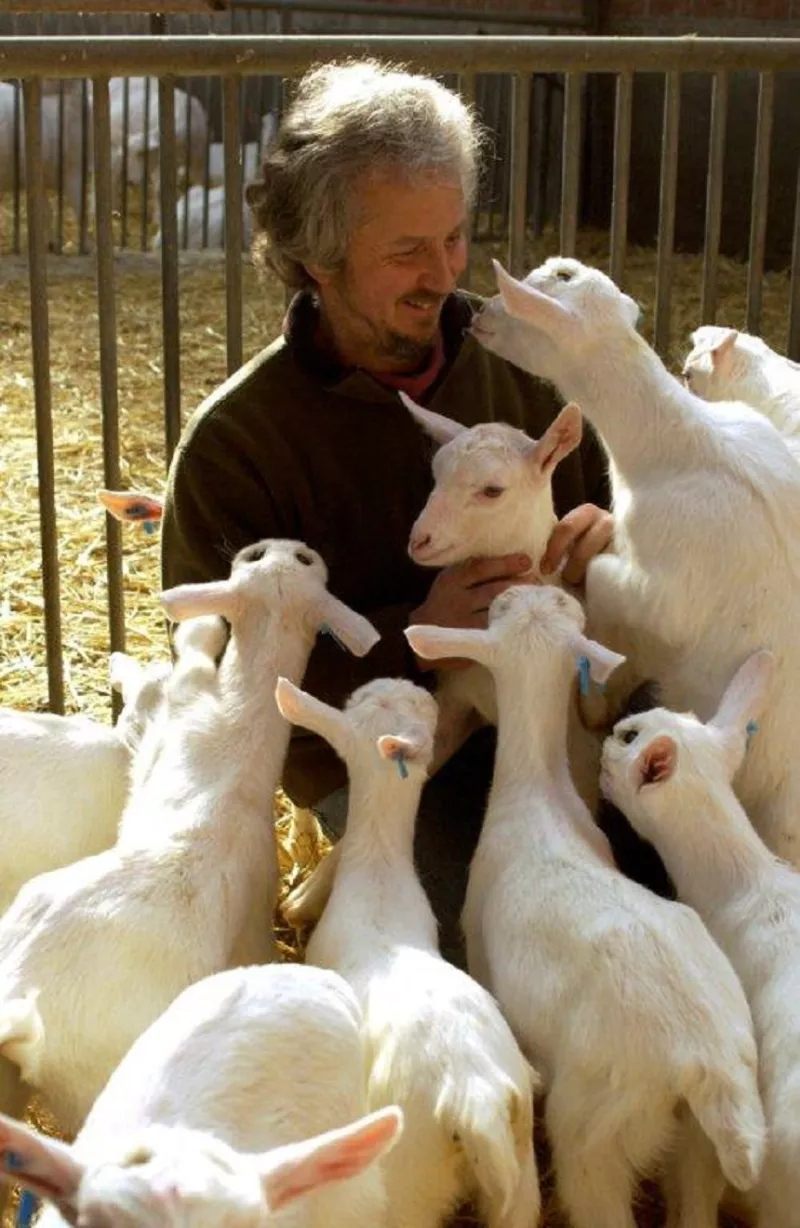 Geitenboerderij Polle Streekproduct.be