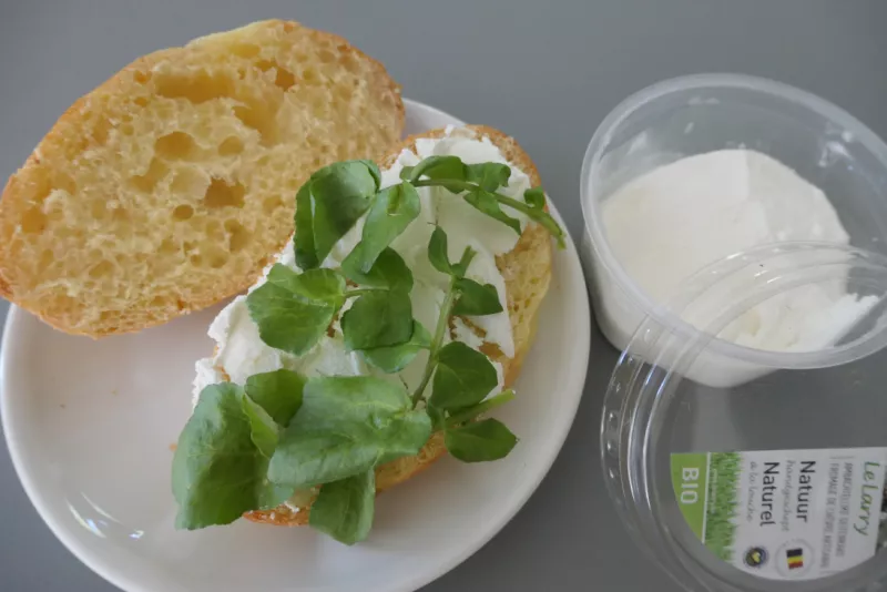 Broodje met Vlaamse rauwemelkse geitenkaas en waterkers Streekproduct.be
