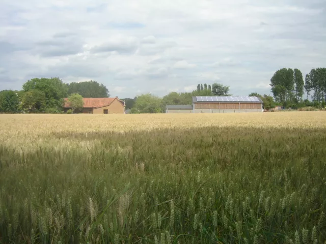 Hoeveschapenkaas uit de Vlaamse Ardennen - de schapenmelkerij hoeve Streekproduct.be
