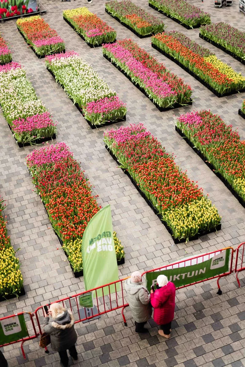 De pluktuin 2024 Streekproduct.be