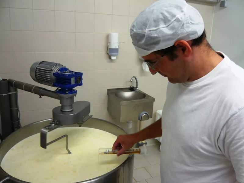 Hoeveschapenkaas uit de Vlaamse Ardennen - productie Streekproduct.be