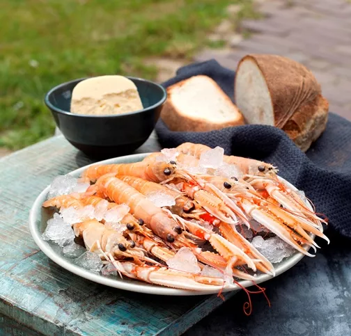Dagny maakt smeuïg hapje uit de Noordzee Streekproduct.be